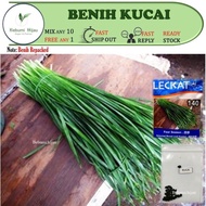 20++ biji benih KUCAI Chinese Chives seeds brand leckat/ crop power