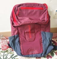 Patagonia backpack 背囊背包