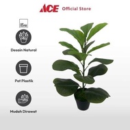 HIJAU Ace Arthome 75 Cm Artificial Fiddle Fig Plant - Green