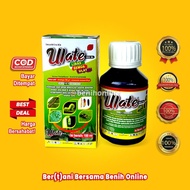 INSEKTISIDA ULATE 550 SL 100 ML dimehypo dan emamectin benzoat Kencana Agro Goldensida Obat Ulat sis