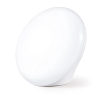 LASTAR Sun Lamp, 10,000 Lux Sunlight Lamp with Touch Control, 5 Brightness Level & 60Min Timer, One-