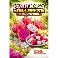 BUAH NAGA MERAH DAN PUTIH | DRAGON FRUIT