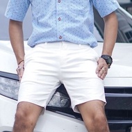 Men's Chic Style Shorts Length 17 Inches.
