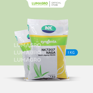 Benih Jagung NK Syngenta 1kg Bibit Perkasa Sumo Juara Andalan Naga 212 NK6172 NK7328 NK7202 NK007