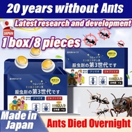 Ant insecticide（Box of 8 pills）  ant bait  ant killer ant colony dies new formula ant killer ant kil