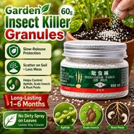imidacloprid racun serangga | Soil Insecticide for Succulents & Flowers | Systemic Control for Mealy