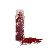 Saffron Iran Daisy