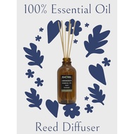 Ecovera Reed Diffuser, Lemongrass, Peppermint, Eucalyptus, Cedarwood Atlas, Lavender, 100% Essential