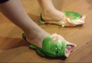 😂搞笑魚形拖鞋 (生日禮物，聖誕禮物首選)整蠱專家 ，咸魚拖鞋 funny indoor homey  slipper fishy 交換禮物