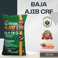 BAJA AJIB CRF 10:5:18:3