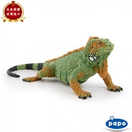 Children's Toy Model New Arrival PAPO France 2024 New Iguana Iguana Iguana Simulation Animal Model C