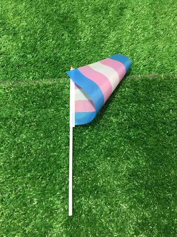 (SKY FLAG)LGBT hand flag 14x21cm polyester LGBT trans transgender pride hand Flag for decoration