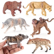 6pcs Wild Animal Zoo Lion Wolf Brown Bear Boar Hyena Model Action Figures Collection Cute Toy Kid Ch