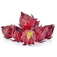 Roselle Hibiscus Flower ( Fresh /Dried /Seeds ) Bunga Rosel /Ribena ( Segar/Kering/Biji Benih )玫瑰茄/ 洛神花 (新鲜/干/种子）