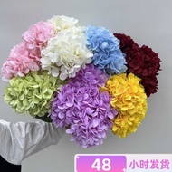 420 Pieces 5 Head Bunch Hydrangea Simulation Flower Candy Color Hydrangea Hotel Wedding Floral Arch 