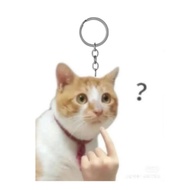 Funny cat meme keychain