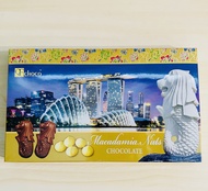 Souvenir Travel Tailored Lion Almond Cranberry Durian Hazelnut Chocolate 125g Boxed Snacks Singapore
