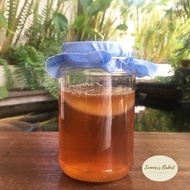 Kombucha Scoby-1 Piece