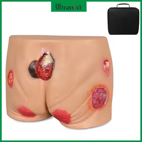 Ultrassist PVC Buttock Decubitus Ulcer Model Pressure Ulcer Wound Care Model Wound Care Education To