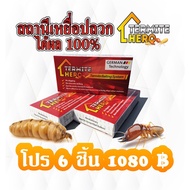 TERMITE Bait Station (6 Boxes)/TERMITE HERO Bait/ Trap/ System/ Insect Control