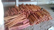 KAYU SECANG BATANG 1 KG