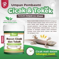 Gecko & Gecko Killer Poison Proven Effective Natural Herbal Lizard Repellent Pawin Lizard & Gecko Po