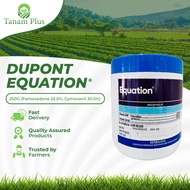 Corteva Equation 250g Racun Kulat Penyakit Phytophthora Cendawan (Famoxadone 22.5% & Cymoxanil 30%) 