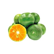 Fresh Lime / Limau Kasturi / Calamansi (1kg) Fresh Fruits