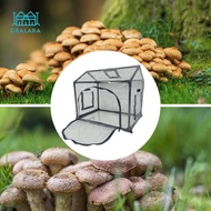 Gralara Mushroom Still Air Box Indoor Professional Greenhouse Sturdy Hood Station Mushroom Grow Bag 