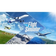 Microsoft Flight Simulator-HOODLUM