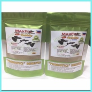 ㍶ ♟ ℴ ✎ MAXFLO GUPPY FISHFOOD PROBIOTICS WITH DEWORMER