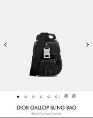 Dior outlet men gallop sling bag