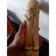 PROMO TERBATAS!!! bambu unik bertuah petuk jalu PACKING AMAN