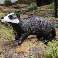 Solid Simulation Animal Toy Animal Model European Badger Dog Badger Weasel Keshan Badger Weasel Chil