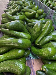 🔥พร้อมส่ง 10Kg !! อะโวคาโด 034 เวียดนาม แท้ !!🥑