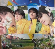 全套放 seventeen 小卡 mini 11 克拉盤 carat seventeen