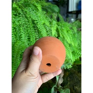 7x7cm Terracotta Pot - Desktop Plant Pot
