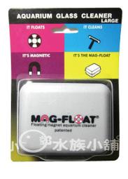 小郭水族-荷蘭進口MAG-FLOAT-免運費【浮力式 磁力刷 L】