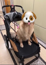 Pet Stroller 《沛德奧 petstro》705gx銀翼系列二代