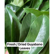 Fresh / Dried Guyabano Leaves