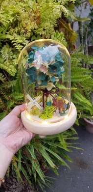 永生花玻璃罩-溫馨小花園/玻璃罩小夜燈/乾燥花/永生花