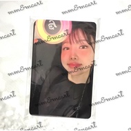 Withmuu Twice Candybong Infinity Lightstick POB Photocards Official