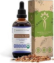 Echinacea Root USDA Organic Tincture | Alcohol-Free Extract, High-Potency Herbal Drops, Immune Syste