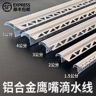 Eagle Eaves Mouth Exterior Wall Drip Eaves Drip Eaves Mouth Wire Aluminum Strip Mouth Roof Drip Alum