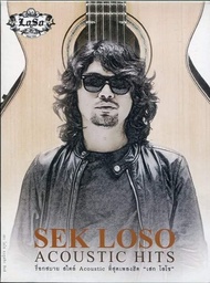 MP3 Sek Loso Acoustic (แผ่น CD  USB แฟลชไดร์ฟ)