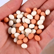 Miniature Eggs (5 Eggs) - Miniature Eggs Dollhouse