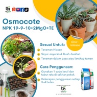 Original Osmocote Tahan 3/4 Bulan NPK 19-9-10+2MgO+TE  / Slow-Released Fertilizer (150g/300g/500g)