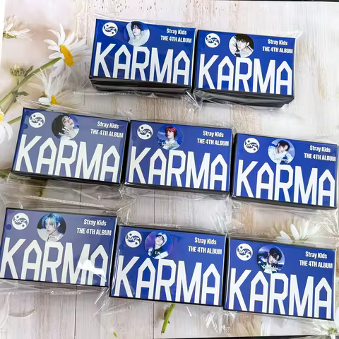 K-POP SKZOO Stray Kids Blue Pink Gift Box FELIX bangchan Set Keychain Small Card Stickers Personal G