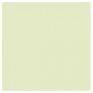 Dulux Pentalite-Interior-5L-Mint DSPIC2188