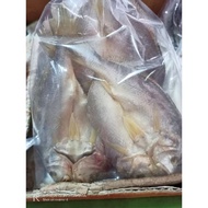 ikan masin ikan gelama sungai 500gram